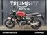 Triumph Speed Twin 1200 (2021 - 24) (12)