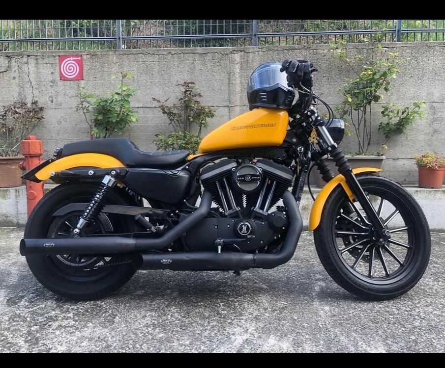 Harley-Davidson 883 Iron (2009 - 11) - XL 883N