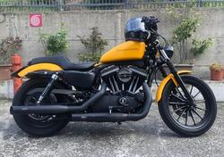 Harley-Davidson 883 Iron (2009 - 11) - XL 883N usata