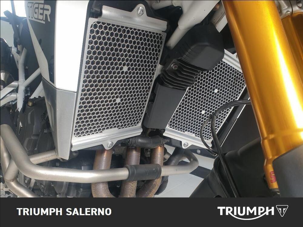 Triumph Tiger 900 Rally Pro (2020 - 23) (4)