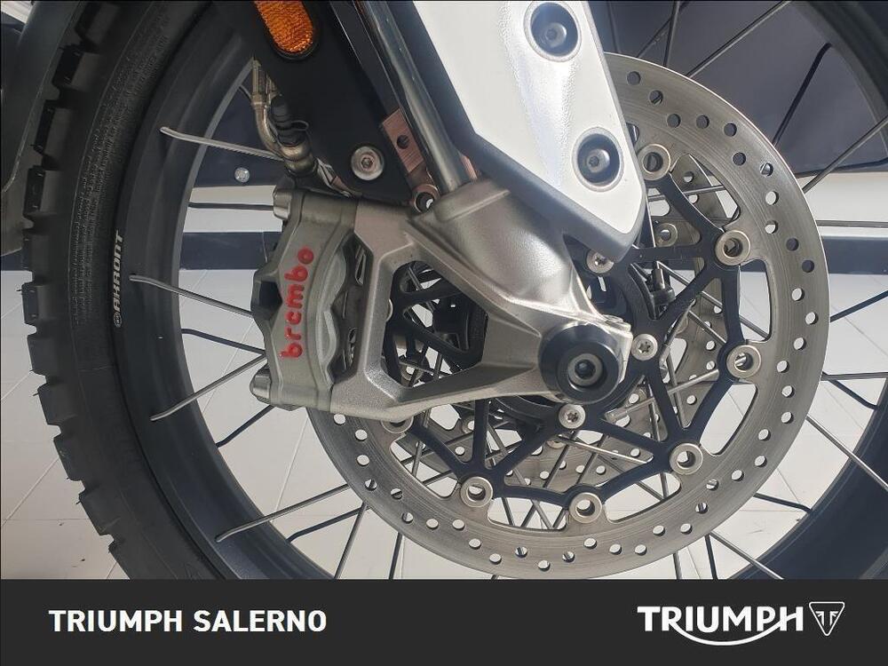 Triumph Tiger 900 Rally Pro (2020 - 23) (5)