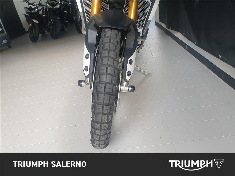 Triumph Tiger 900 Rally Pro (2020 - 23) (3)