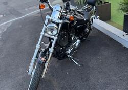 Harley-Davidson 1200 Custom (2004 - 06) - XL 1200C usata