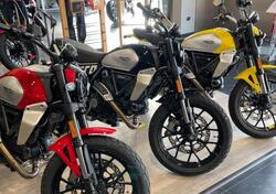 Ducati Scrambler 800 Icon (2023 - 24) usata