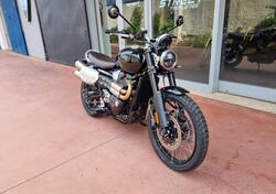 Triumph Scrambler 1200 X (2024 - 25) nuova