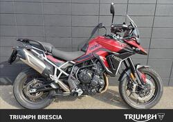 Triumph Tiger 900 GT Pro (2024) usata