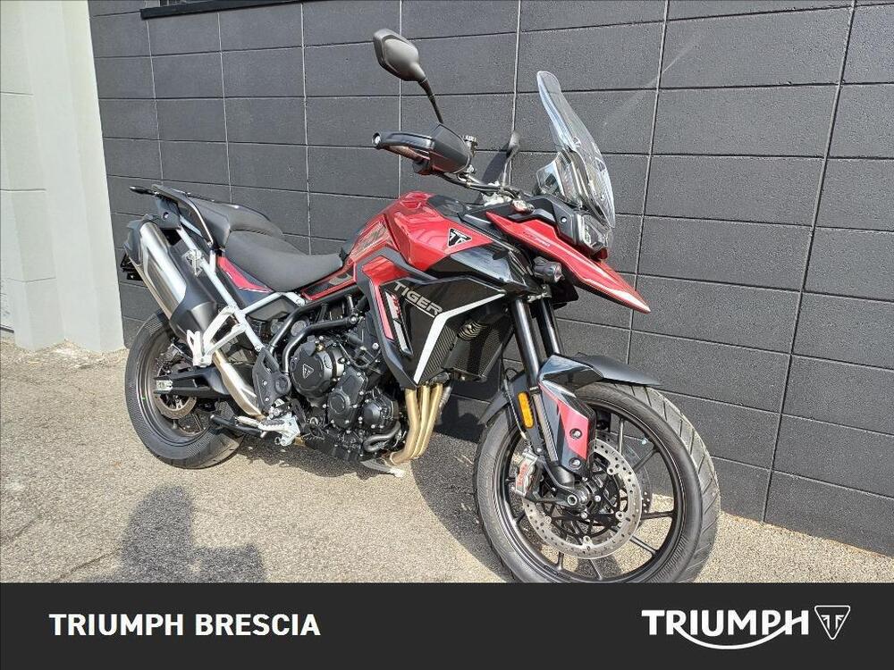 Triumph Tiger 900 GT Pro (2024) (2)