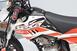 Betamotor RR 125 4T Motard LC (2010 - 17) (13)