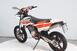 Betamotor RR 125 4T Motard LC (2010 - 17) (14)