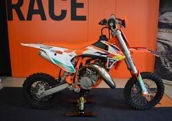 KTM SX 50 (2023) usata