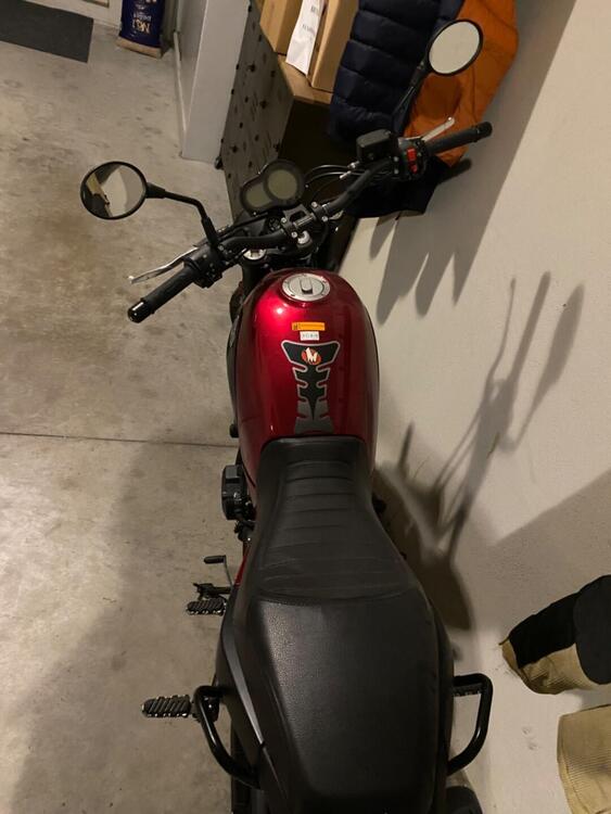 Benelli Leoncino 500 Trail ABS (2017 - 20) (5)