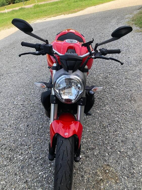 Ducati Monster 821 ABS (2014 - 17) (3)