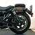 Harley-Davidson Nightster Special (2023 - 24) (13)