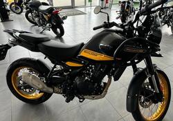 Royal Enfield Himalayan 450 (2024) usata