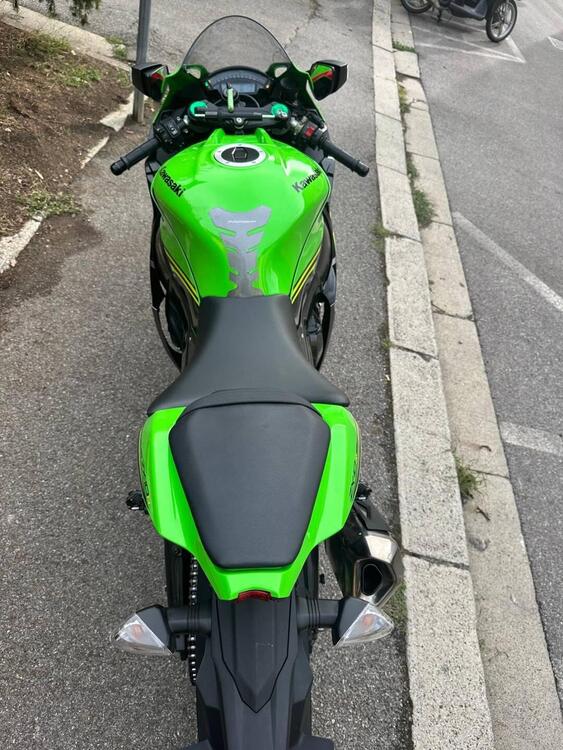 Kawasaki Ninja 1000 ZX-10R KRT Replica (2019 - 20) (4)