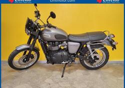 Triumph Scrambler (2006 - 17) usata