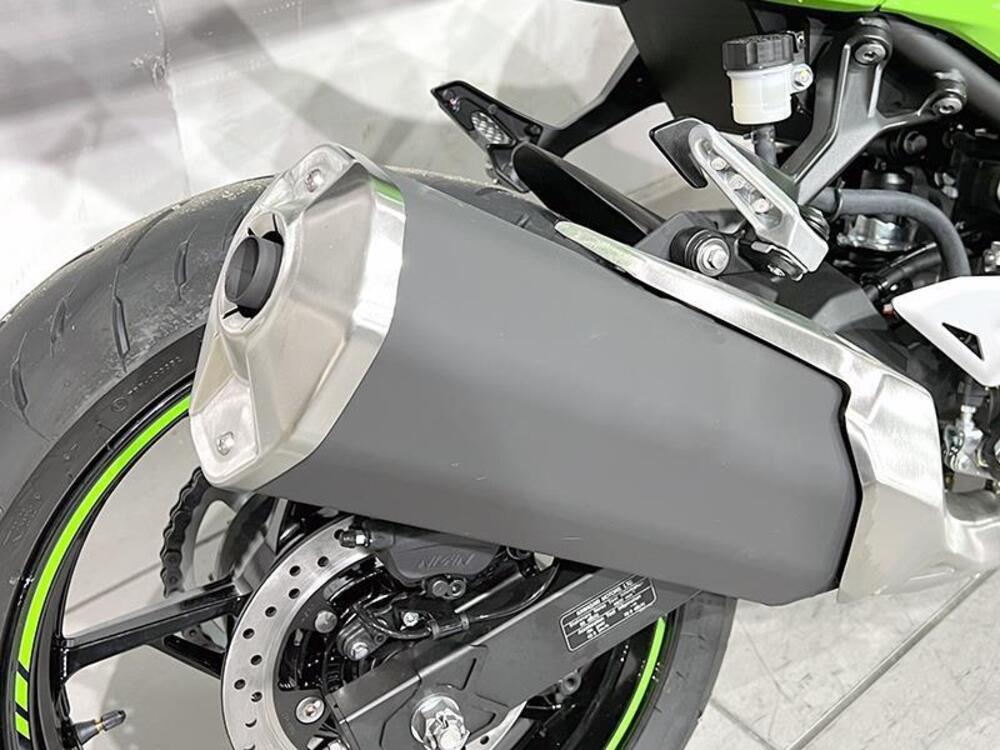 Kawasaki Ninja 500 SE (2024 - 25) (4)