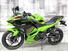 Kawasaki Ninja 500 SE (2024 - 25) (7)