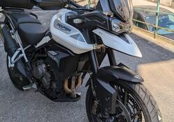 Triumph Tiger 900 GT (2020 - 23) usata