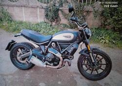 Ducati Scrambler 800 Icon (2021 - 22) usata