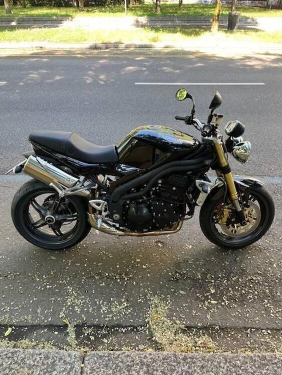 Triumph Speed Triple 1050 (2005 - 11) (3)