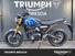 Triumph Speed 400 (2024) (11)