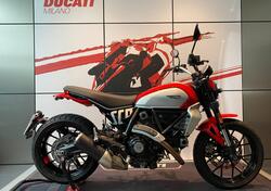 Ducati Scrambler 800 Icon (2023 - 24) usata