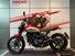 Ducati Scrambler 800 Icon (2023 - 24) (13)