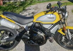 Ducati Scrambler 1100 (2018 - 20) usata