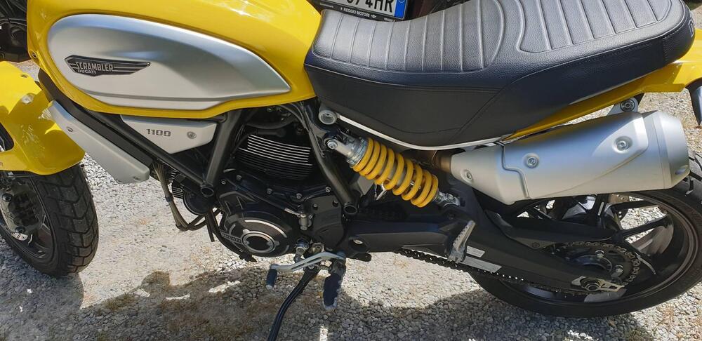 Ducati Scrambler 1100 (2018 - 20) (5)