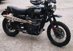 Triumph Scrambler (2006 - 17) usata