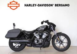 Harley-Davidson Nightster (2023 - 24) usata