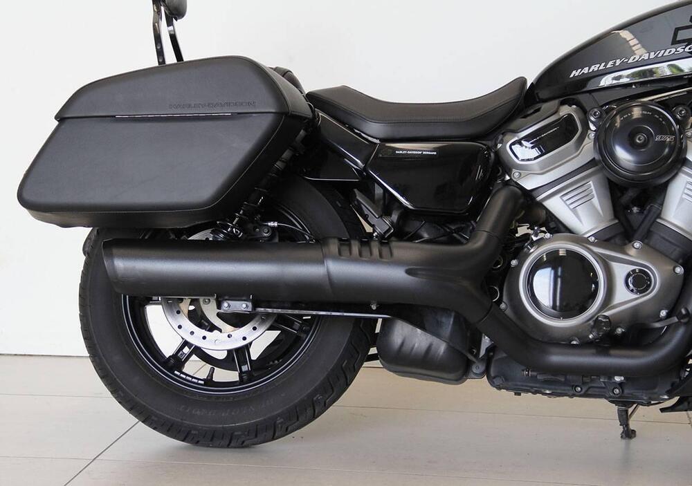 Harley-Davidson Nightster (2023 - 24) (3)