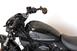 Harley-Davidson Nightster (2023 - 24) (13)