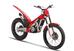 GASGAS TXT 300 Racing (2024 - 25) (6)