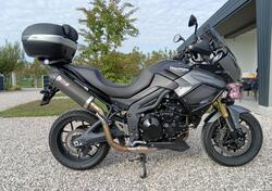 Triumph Tiger 1050 SE ABS (2006 - 13) usata