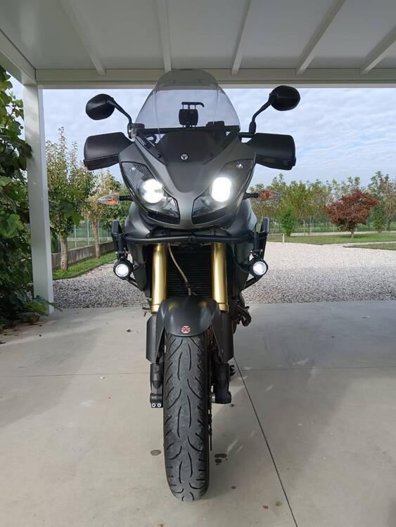 Triumph Tiger 1050 SE ABS (2006 - 13) (2)