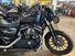 Harley-Davidson 883 Iron (2009 - 11) - XL 883N (6)