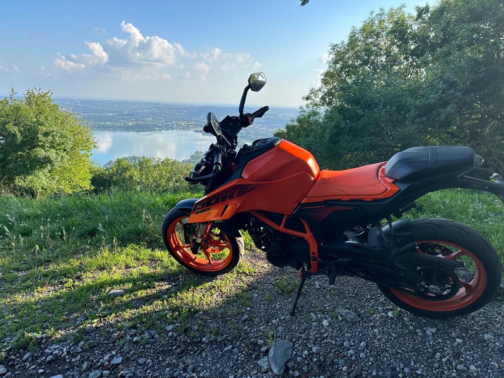 KTM 390 Duke (2024)