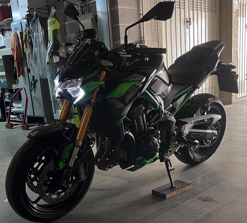 Kawasaki Z 900 SE Performance (2023 - 24)