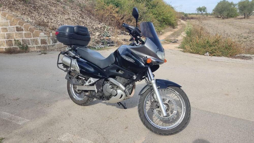 Suzuki XF 650 Freewind (1997 - 03) (5)