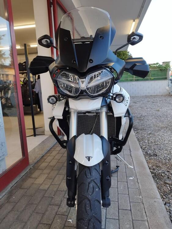 Triumph Tiger 800 XRt (2018 - 20) (2)