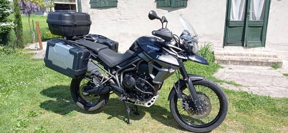 Triumph Tiger 800 XCx (2015 - 17) (3)