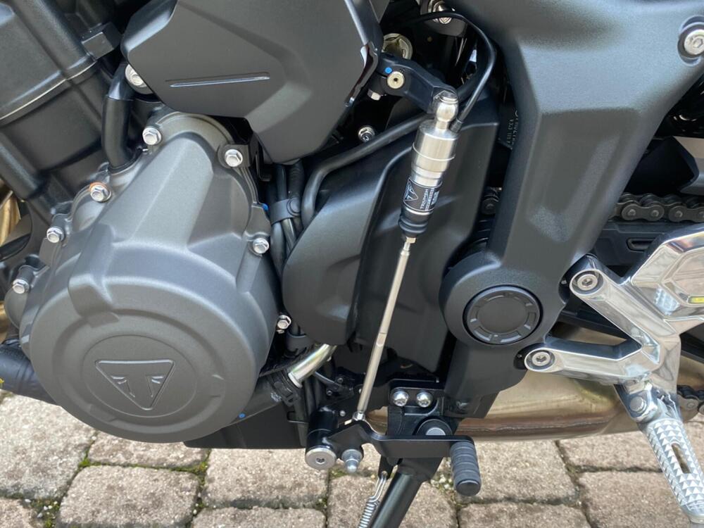 Triumph Trident 660 (2021 - 24) (3)