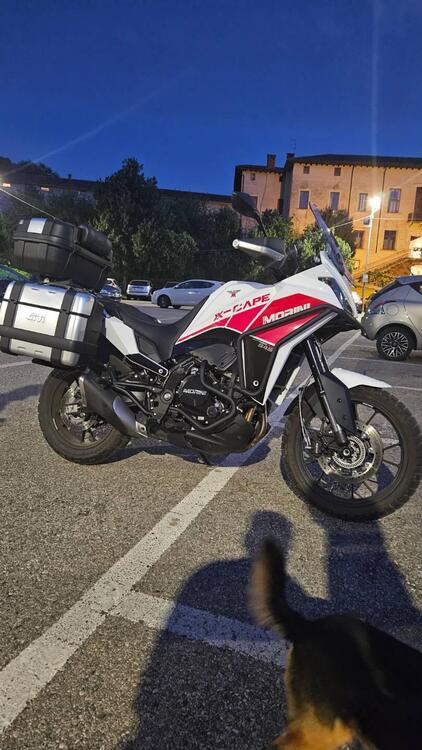 Moto Morini X-Cape 650 (2021 - 24)