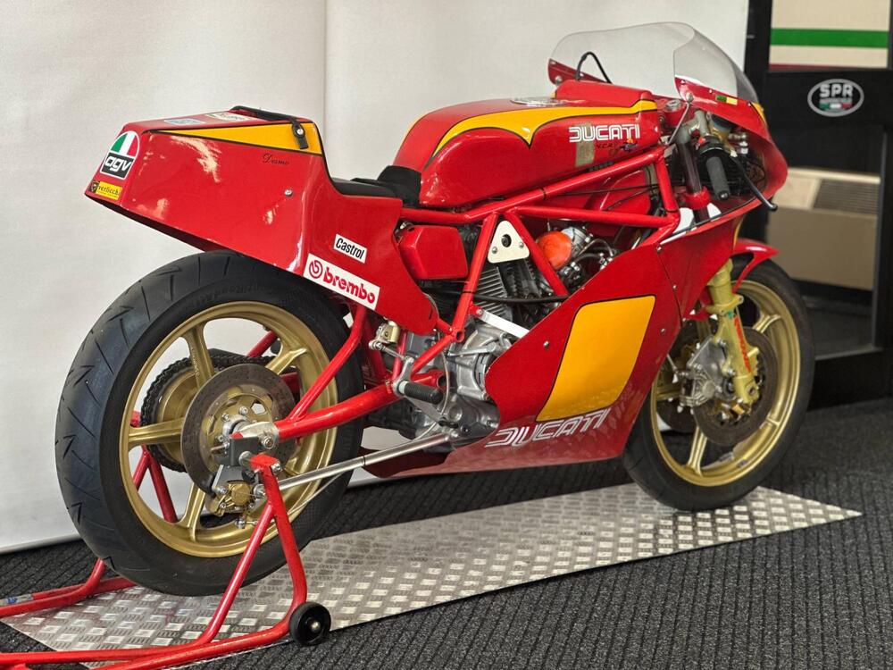 Ducati 600 TT2 (5)