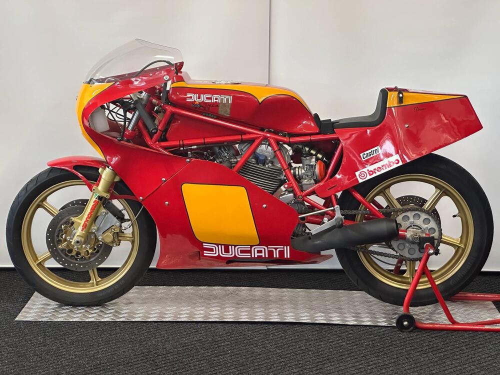 Ducati 600 TT2 (2)