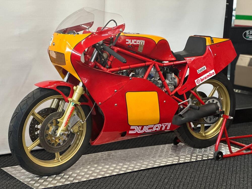 Ducati 600 TT2 (4)