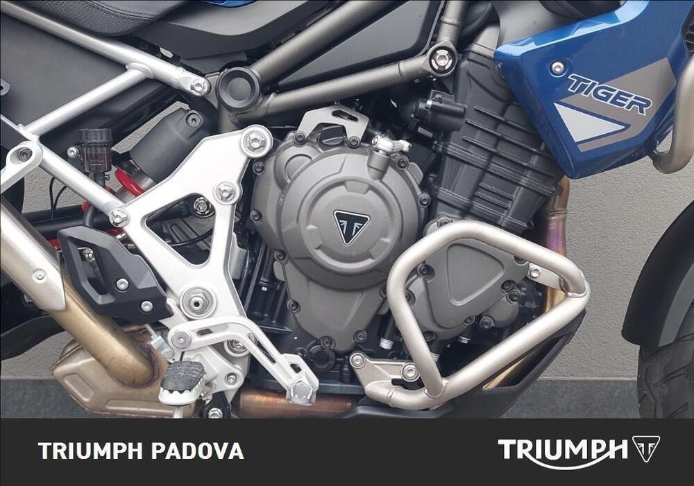 Triumph Tiger 1200 GT Pro (2022 - 23) (5)