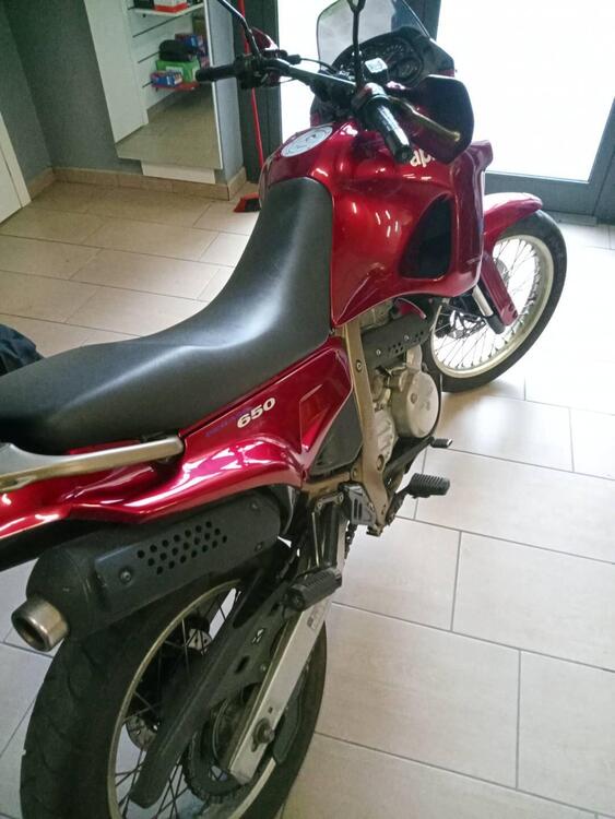 Aprilia Pegaso 650 a.e. (1994 - 96) (2)